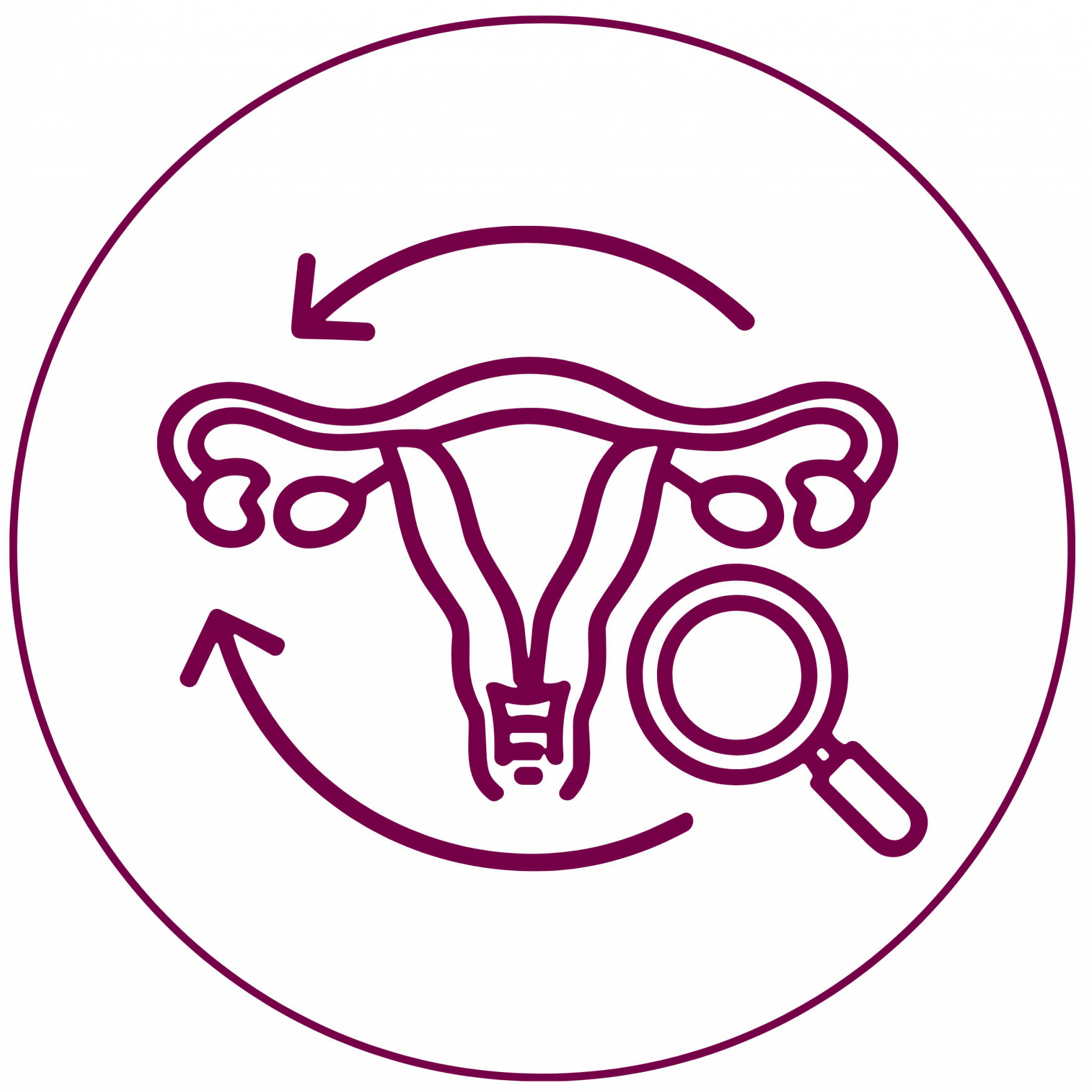 Icon eines Uterus mit zwei Pfeilen und einer Lupe